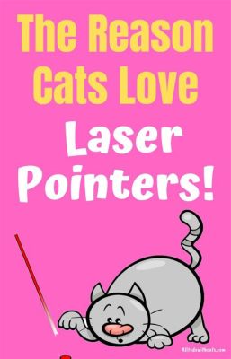 How to Print Out Poster Size Pictures and Why Cats Love Laser Pointers