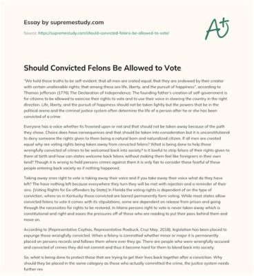 should felons be allowed to vote essay and should we reconsider the impact of voting on society?