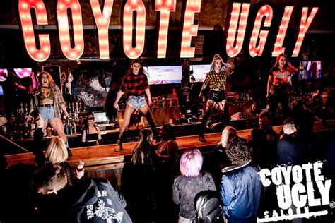 Song from Coyote Ugly: Dance, Rhythm, and Cultural Synergy